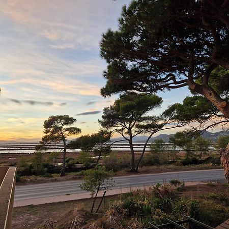 Les Flamants Roses De La Capte T2 Hyeres Bagian luar foto